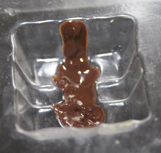 Chocolate Mould