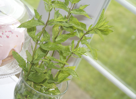 Fresh Mint Leaves