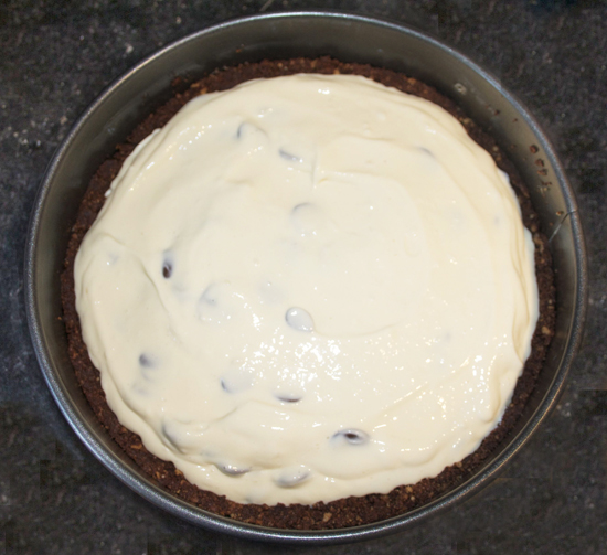 Choc Chip Cheesecake