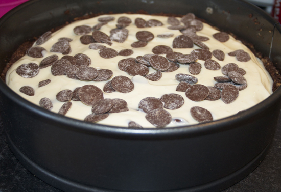 Chocolate Chips on Cheesecake