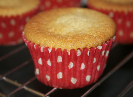 Cinnamon Sponge Cupcakes