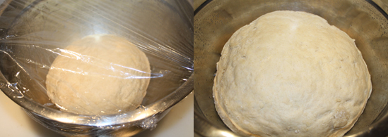 Pretzel Dough Rising