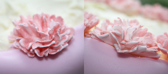 Carnation Cake Tutorial