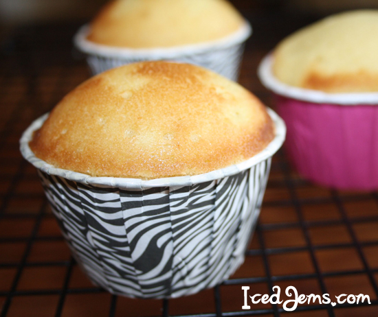 Domed Cupcakes