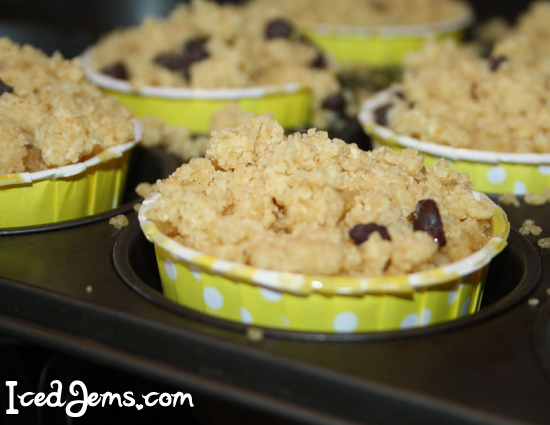 Chocolate Chip Crumble