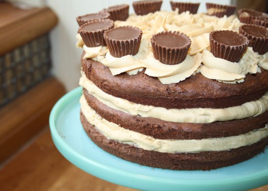 Peanut Butter Brownie Cake